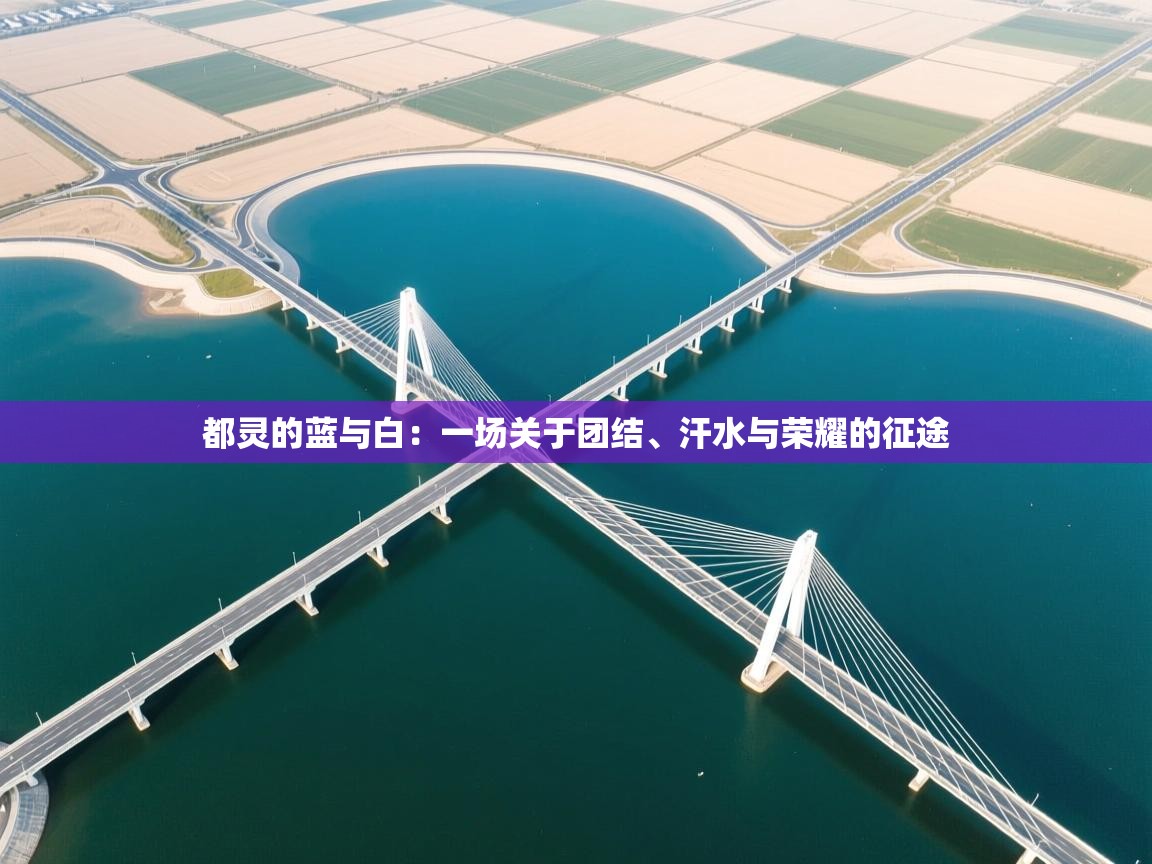 都灵的蓝与白：一场关于团结、汗水与荣耀的征途  第1张