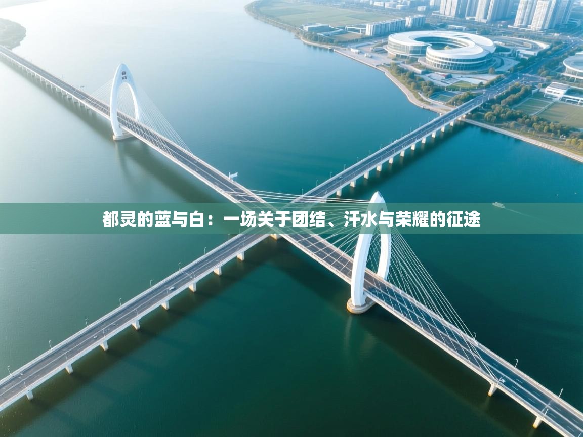 都灵的蓝与白：一场关于团结、汗水与荣耀的征途  第2张